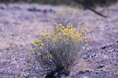 DSC_2210 (Large).JPG